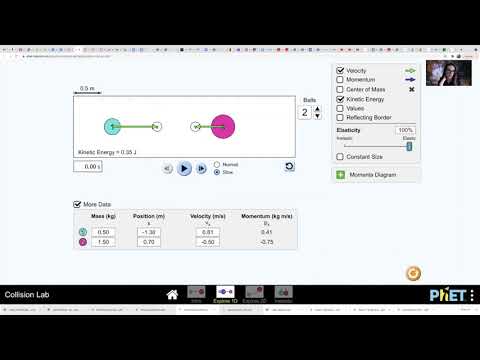 PHY 233 - Using PhET 1D Collisions Lab