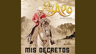 Video thumbnail of "El Chapo de Sinaloa - Sueño De Amor"