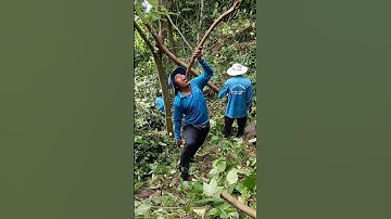 nước cứu mạng đi rừng cần phải biết #shorts #shortvideo