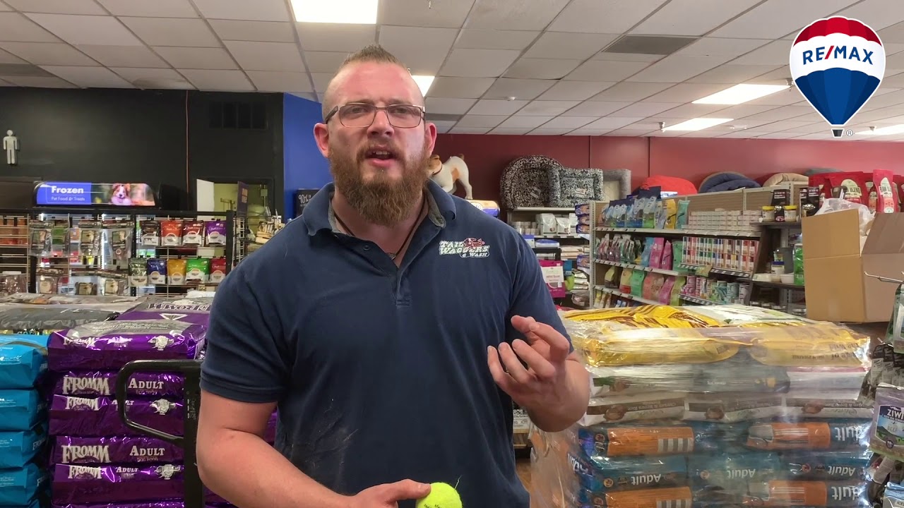 tail waggers and wash