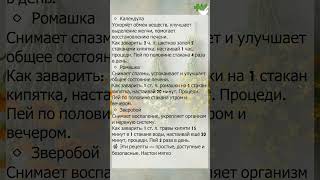 Полезные травы для печени которые реально работают!