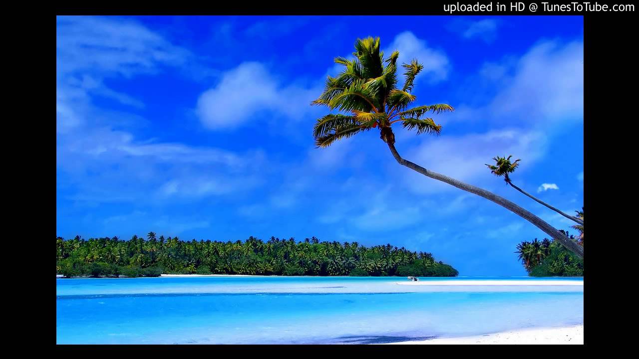 Baby Bredren - MASH IT UP