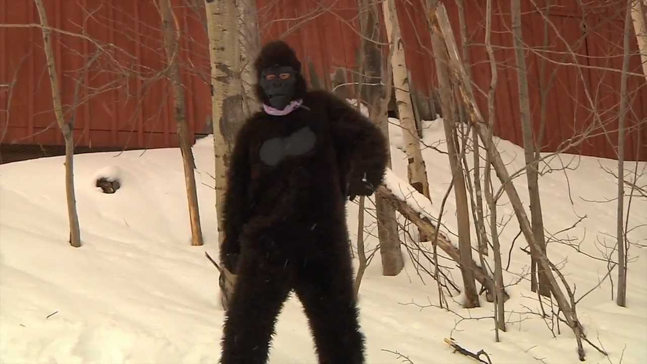 Big Buck Hunter, VIDEO GAMES EVENT 2013 @ Sunday River, ME