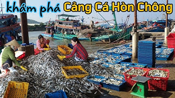 Khám phá Cảng Cá Biển ở Hòn Chông Hà Tiên quá nhộn nhịp vào buổi sáng