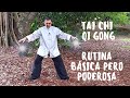 Rutina BASICA  pero PODEROSA de Tai Chi y Qi Gong/Chi Kung