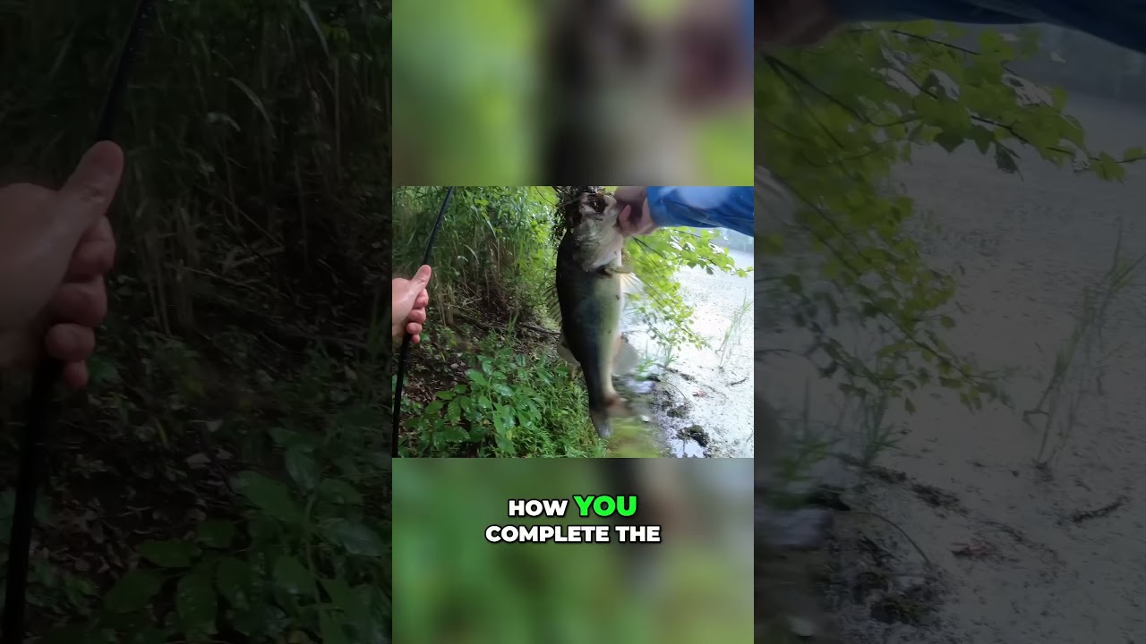 1Rod1ReelFishing landing a nice bass on a top water frog!