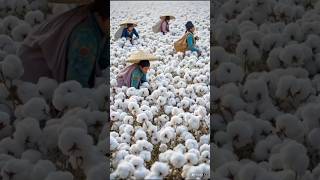 दुनिया की 5 सबसे अजीब सब्जियां।#india #facts #world #farming #agricultura #indianfarmer #gk