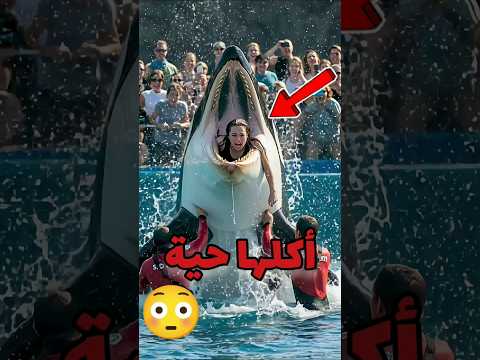 خيانه مرعب جيسيكا رعب حوت حوت الاوركا المدربة