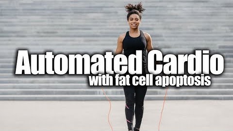 Automated Cardio with Fat Cell Apoptosis (Morphic Field + Visualization + Affirmations + Subliminal)