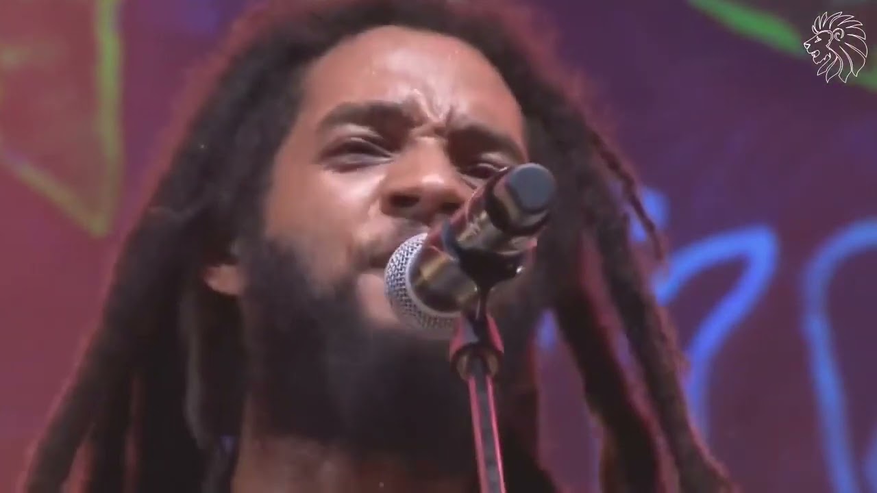 THE WAILERS Live Concert 2023 - YouTube
