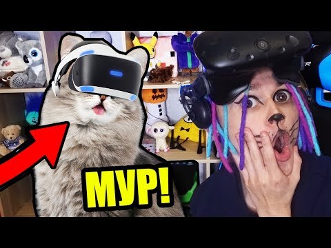 МОЙ КОТИК ГЕННАДИЙ ПЕРВЫЙ РАЗ ИГРАЕТ В ВИРТУАЛЬНУЮ РЕАЛЬНОСТЬ!!! (CATIFY VR)