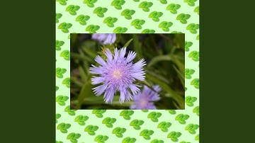 Retro Moods for Lazy Tales