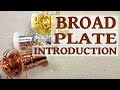 Broad Plate goldwork embroidery - a video introduction.