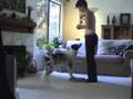 How to train a dog Pivoting- for Heel, Rally, Freestyle + more How to train a dog Pivoting- for Heel, Rally, Freestyle + more