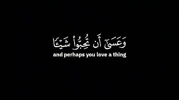 وعسى ان تكرهوا شيئا وهو خير لكم | ياسر الدوسري - الآية 216 من سورة البقرة ( شاشة سوداء )