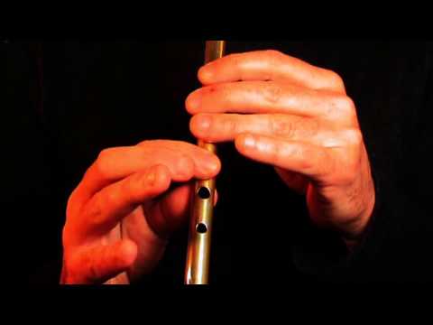 Traditional Irish Tin Whistle Music 🎵🎵 [Doolin Style] 