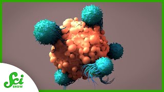 10Year Cancer Remission Thanks to T Cell Therapy​​ | SciShow News