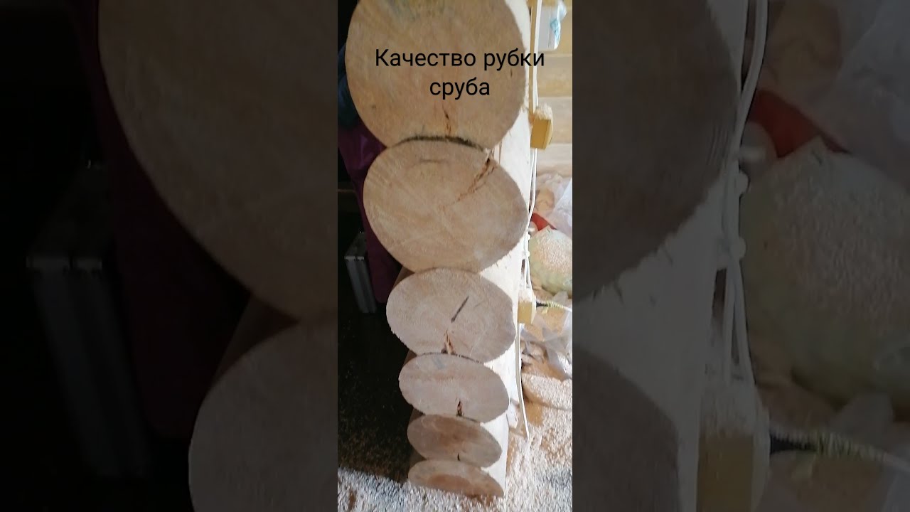 Кругляк Для Сруба Купить В Ярославле