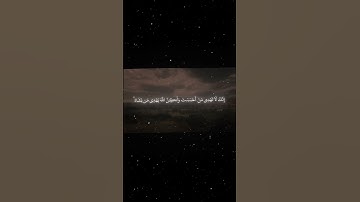 سورة القصص |56|القارئ:#ماهر_المعيقلي #قران #quran #راحة_نفسية #قران_كريم  #تلاوة_هادئة  #تلاوة_خاشعة