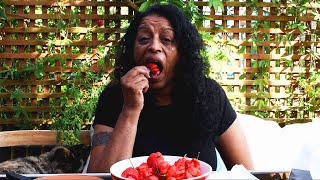 Hi guys, this is my first ever challenge. hopefully the of many! watch
me suffer through tears as i try to eat many carolina reapers out a
possib...