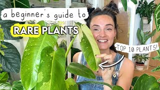 10 Amazingly Easy RARE Plants  A Beginner's Guide To Rare Houseplants