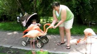 MVI_5122.AVI