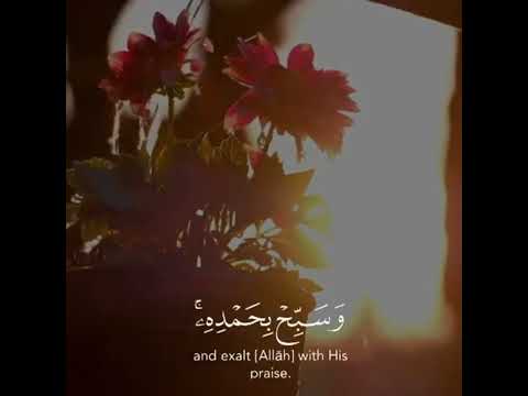 إدريس أبكر مقاطع قرآن قصيرة حالات واتس دينية