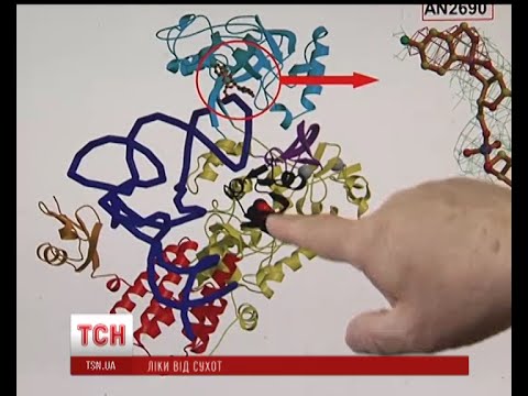 Українські вчені відкрили новий спосіб боротьби з туберкульозом