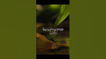 اجر لي ولكـم ☺️❤️‍🩹#كلير_تحبكم#قران_كريم#اكسبلور#لايك#راحة_نفسية#سورة_الفتح#عبدالرحمن_مسعد
