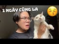 Vlog2 1 ngy cng la