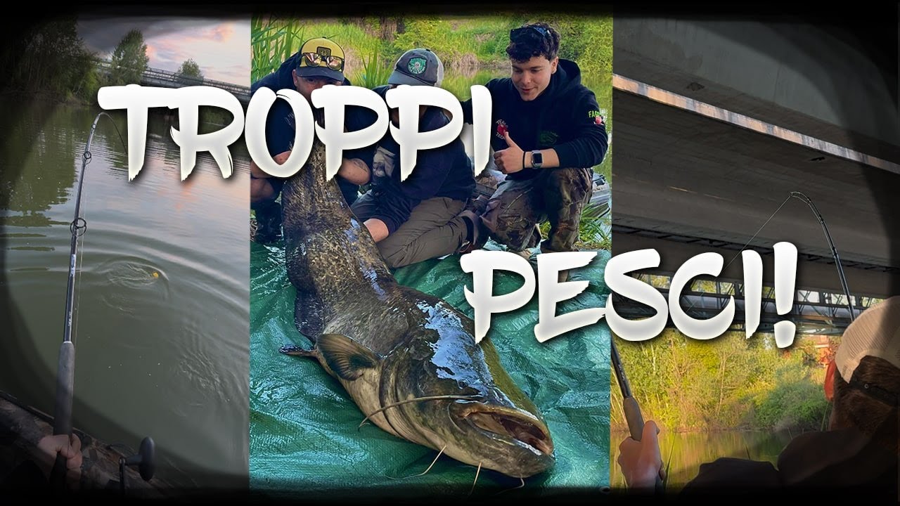 La PESCATA più ASSURDA e DIVERTENTE di SEMPRE! - Breakline al Siluro - TZ Fishing