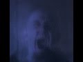 Capture de la vidéo Haflingerallergie - Cursed