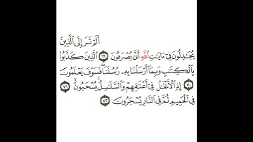 سورة غافر 24 القسم الرابع العشرون تكرار كيفي من .. ألم تر إلى الذين يجادلون في .. إلى .. يسجرون