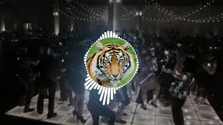 Sher Baja Tiger Dhun (Dhumal  Dj Mix Mp 3 ) new 2018