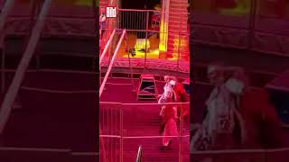 Plötzlich Rasten Alle Löwen Aus