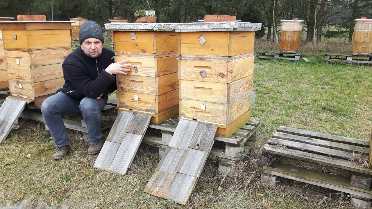 Prosty przepis na szybki rozwój wiosenny