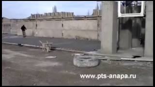 Dallage Industriel Maroc 0668 64 36 07 Dallage Industriel 1