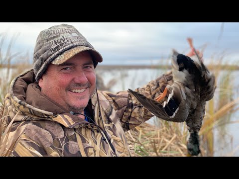 Duck Hunting, Deer Hunting; Michigan Out of Doors TV #2146