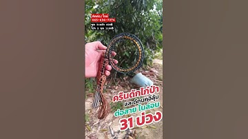 ครืนดักไก่ป่า31บ่วง #ครืนดักไก่ป่า #ครืนดักนกอีลุ้ม #amazing #fypage #fyp