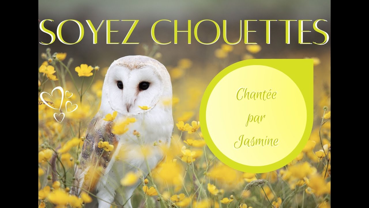 Soyez Chouettes --- Comptine pour enfants - YouTube