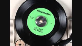 The Moguls - Ski bum (60'S FUZZ GARAGE PUNK POUNDER)