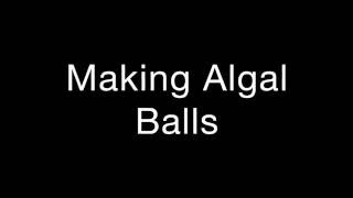 Algal Balls