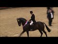 Ripon Select Supreme Horse 2017