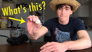 What IS this TINY Egg??? | Welcome To The Urban Rescue Ranch | Homestead Tour (GIVEAWAY at the End!)