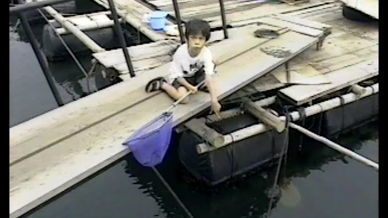 岸壁採集家 鈴木香里武の幼魚期 Youtube