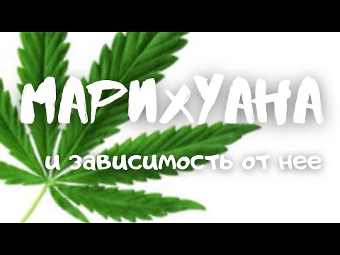 Про марихуану и зависимость от нее. Правда или миф?