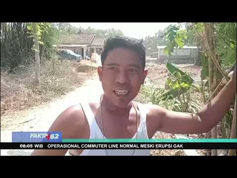 Trainer Aircraft Crashes and Catches Fire in Blora, Both Passengers Survive