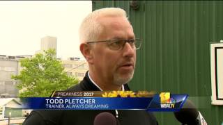 Video: Always Dreaming takes jog around Pimlico track
