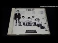 TULIP 音楽の舟