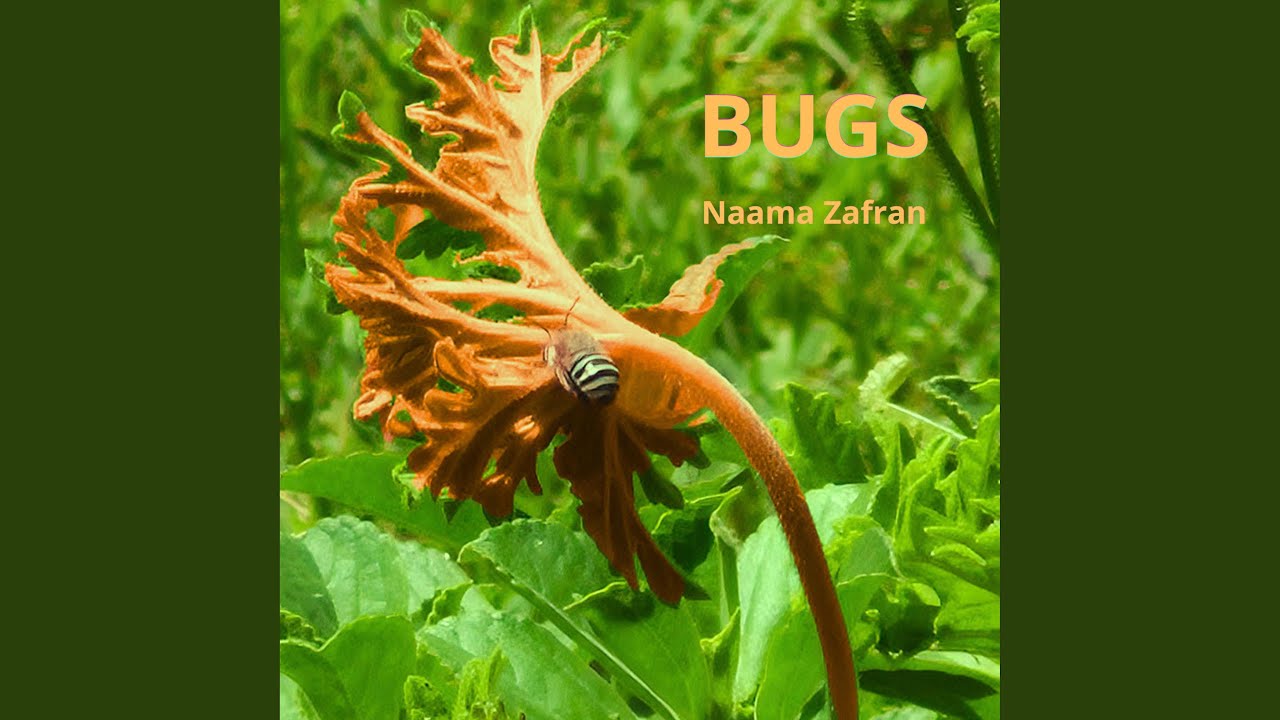Watch BUGS on YouTube Watch BUGS on YouTube